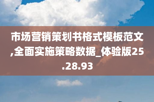 市场营销策划书格式模板范文,全面实施策略数据_体验版25.28.93