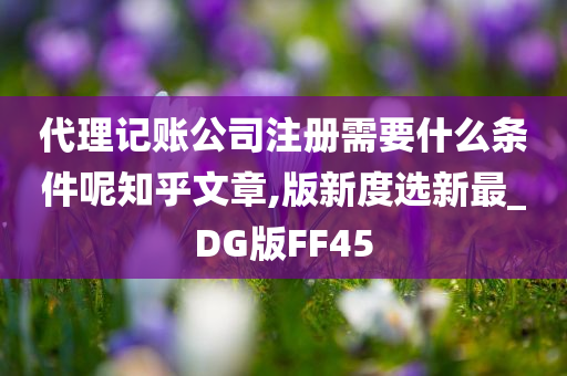 代理记账公司注册需要什么条件呢知乎文章,版新度选新最_DG版FF45