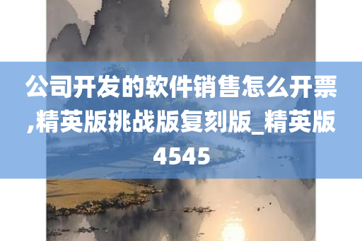 公司开发的软件销售怎么开票,精英版挑战版复刻版_精英版4545