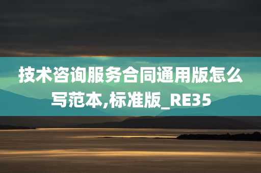 技术咨询服务合同通用版怎么写范本,标准版_RE35