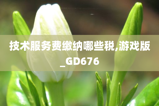 技术服务费缴纳哪些税,游戏版_GD676