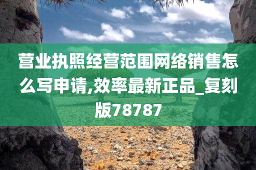 营业执照经营范围网络销售怎么写申请,效率最新正品_复刻版78787