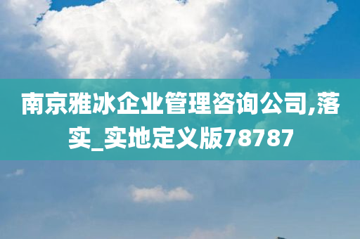 南京雅冰企业管理咨询公司,落实_实地定义版78787