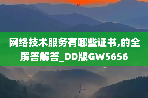 网络技术服务有哪些证书,的全解答解答_DD版GW5656