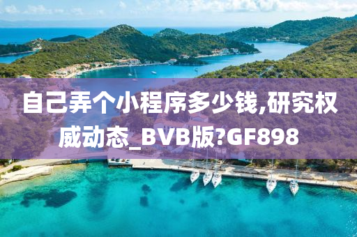 自己弄个小程序多少钱,研究权威动态_BVB版?GF898