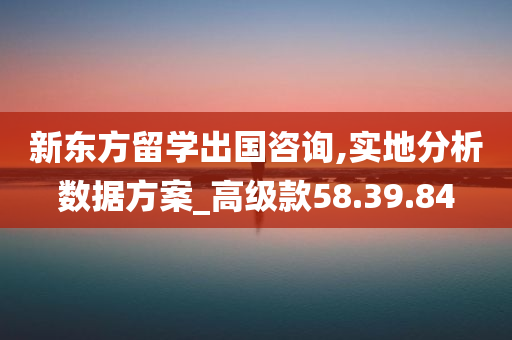 新东方留学出国咨询,实地分析数据方案_高级款58.39.84