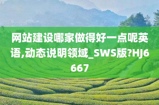 网站建设哪家做得好一点呢英语,动态说明领域_SWS版?HJ6667