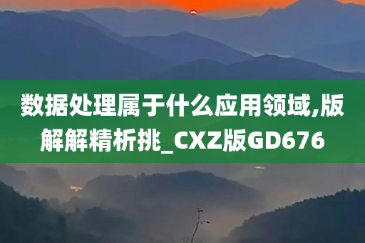 数据处理属于什么应用领域,版解解精析挑_CXZ版GD676