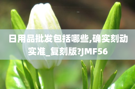 日用品批发包括哪些,确实刻动实准_复刻版?JMF56