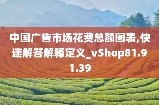 中国广告市场花费总额图表,快速解答解释定义_vShop81.91.39