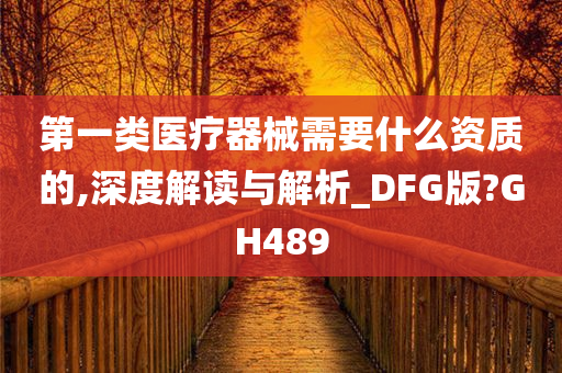 第一类医疗器械需要什么资质的,深度解读与解析_DFG版?GH489