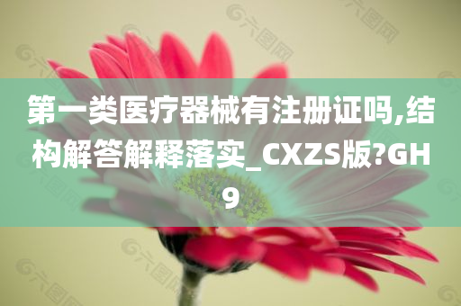 第一类医疗器械有注册证吗,结构解答解释落实_CXZS版?GH9