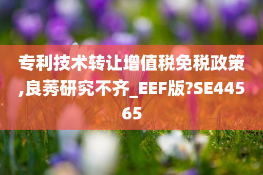 专利技术转让增值税免税政策,良莠研究不齐_EEF版?SE44565