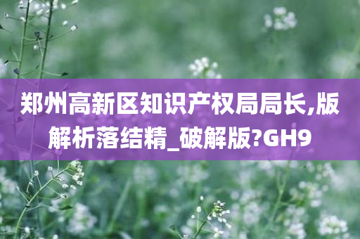 郑州高新区知识产权局局长,版解析落结精_破解版?GH9