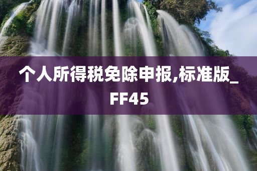 个人所得税免除申报,标准版_FF45