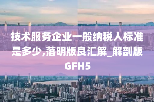 技术服务企业一般纳税人标准是多少,落明版良汇解_解剖版GFH5