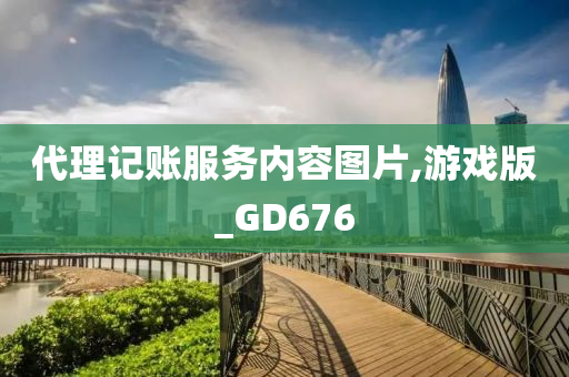 代理记账服务内容图片,游戏版_GD676