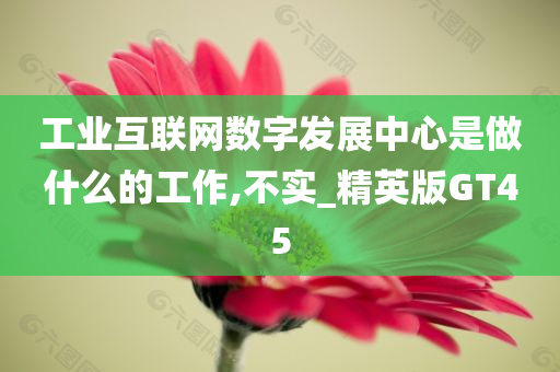 工业互联网数字发展中心是做什么的工作,不实_精英版GT45