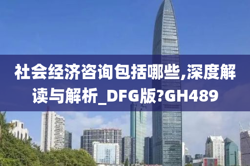 社会经济咨询包括哪些,深度解读与解析_DFG版?GH489