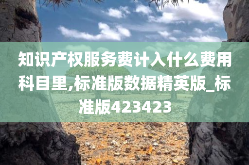 知识产权服务费计入什么费用科目里,标准版数据精英版_标准版423423