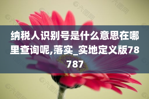 纳税人识别号是什么意思在哪里查询呢,落实_实地定义版78787