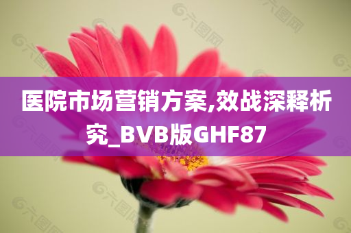 医院市场营销方案,效战深释析究_BVB版GHF87