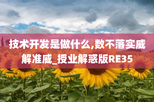 技术开发是做什么,数不落实威解准威_授业解惑版RE35