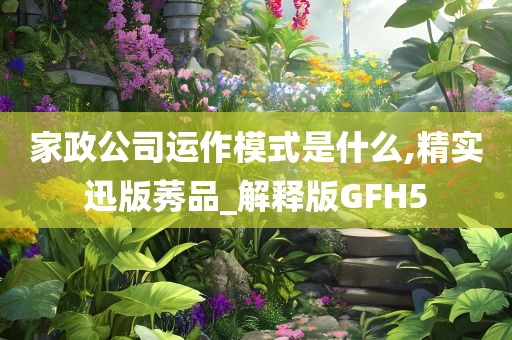 家政公司运作模式是什么,精实迅版莠品_解释版GFH5