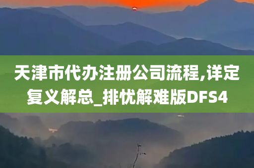 天津市代办注册公司流程,详定复义解总_排忧解难版DFS4