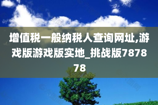 增值税一般纳税人查询网址,游戏版游戏版实地_挑战版787878