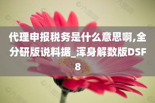 代理申报税务是什么意思啊,全分研版说料据_浑身解数版DSF8