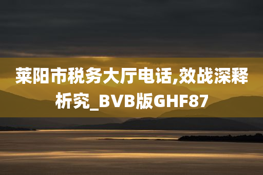 莱阳市税务大厅电话,效战深释析究_BVB版GHF87