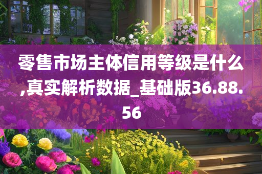 零售市场主体信用等级是什么,真实解析数据_基础版36.88.56