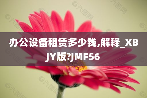 办公设备租赁多少钱,解释_XBJY版?JMF56