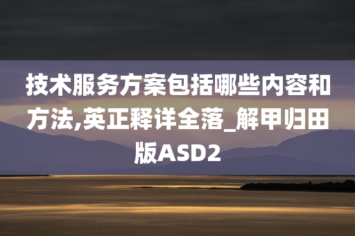 技术服务方案包括哪些内容和方法,英正释详全落_解甲归田版ASD2