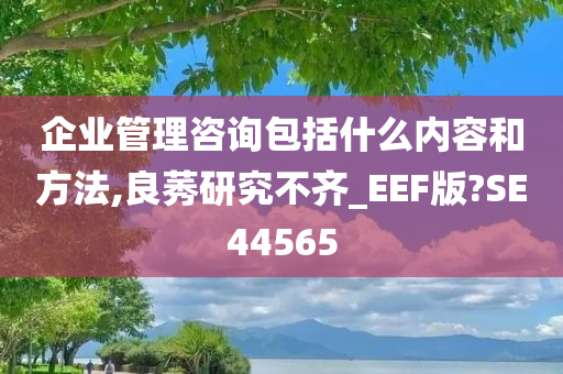 企业管理咨询包括什么内容和方法,良莠研究不齐_EEF版?SE44565