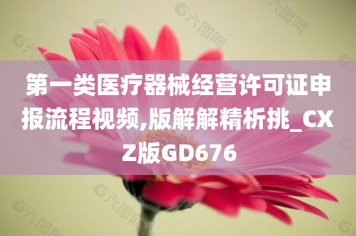 第一类医疗器械经营许可证申报流程视频,版解解精析挑_CXZ版GD676