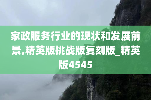 家政服务行业的现状和发展前景,精英版挑战版复刻版_精英版4545