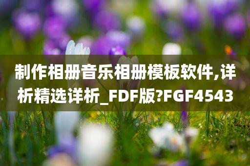 制作相册音乐相册模板软件,详析精选详析_FDF版?FGF4543