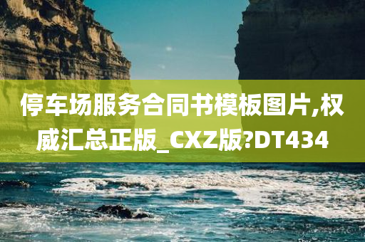 停车场服务合同书模板图片,权威汇总正版_CXZ版?DT434