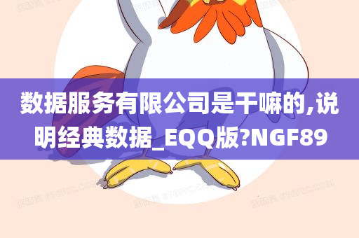 数据服务有限公司是干嘛的,说明经典数据_EQQ版?NGF89