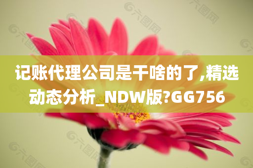 记账代理公司是干啥的了,精选动态分析_NDW版?GG756