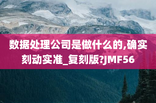 数据处理公司是做什么的,确实刻动实准_复刻版?JMF56