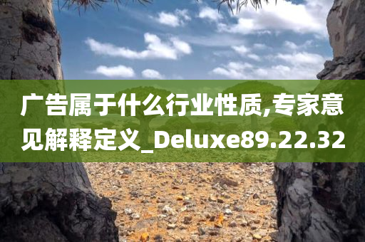 广告属于什么行业性质,专家意见解释定义_Deluxe89.22.32