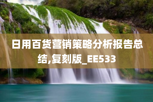 日用百货营销策略分析报告总结,复刻版_EE533