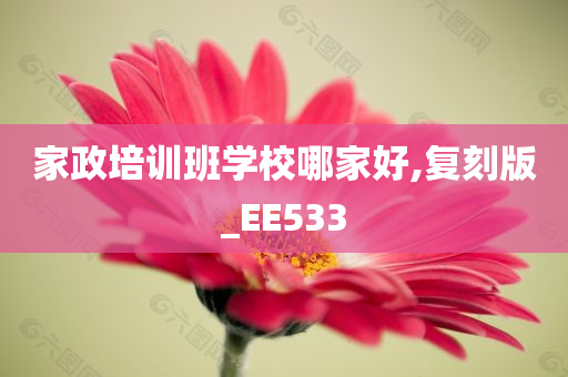 家政培训班学校哪家好,复刻版_EE533