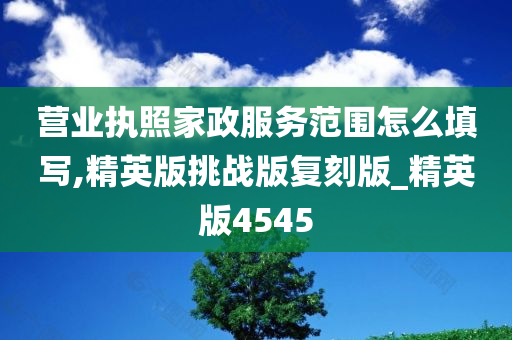 营业执照家政服务范围怎么填写,精英版挑战版复刻版_精英版4545