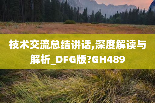 技术交流总结讲话,深度解读与解析_DFG版?GH489