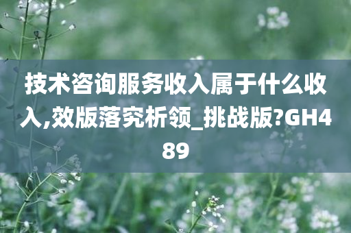 技术咨询服务收入属于什么收入,效版落究析领_挑战版?GH489