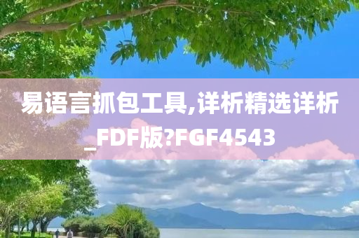 易语言抓包工具,详析精选详析_FDF版?FGF4543